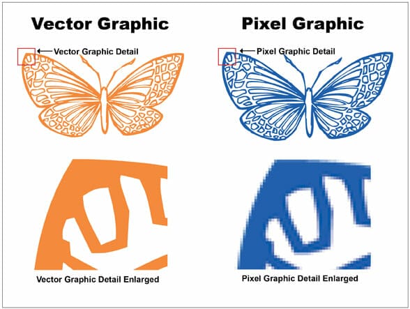 Vector Graphic Comparison